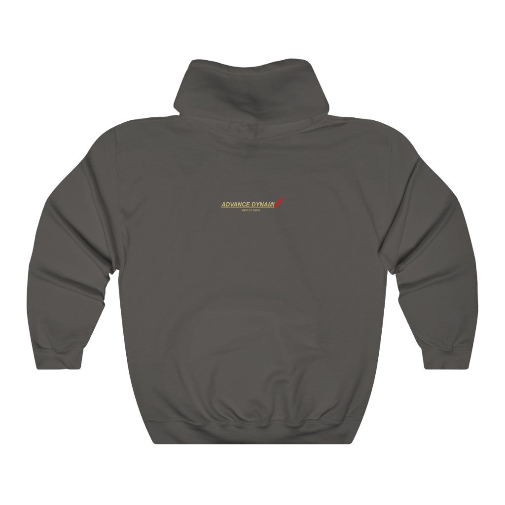 "Some things are risky. But if the stakes are..." ~Elon Musk, Tesla ~ Super-comfortable, Unisex heavy-blend hoodie infused with Advance Dynamix Add-A-Tude